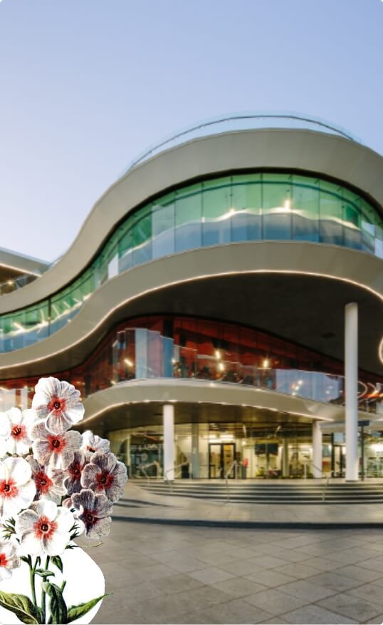 Health With Heart Merchant Palace Header Image Health With Heart Merchant Palace Header Image