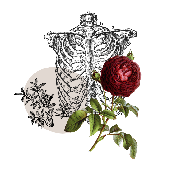 Health-with-heart-acute-conditions-book-online-cta@2x